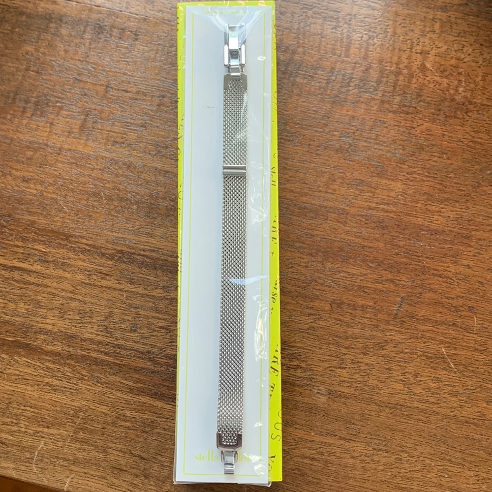 Stella & Dot Silver Mesh Band
